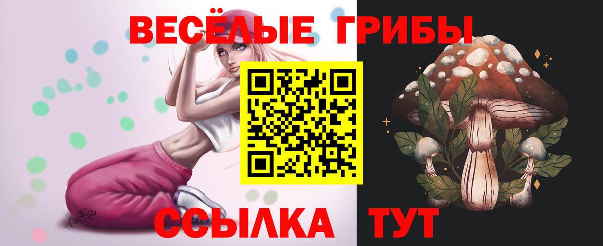 Псилоцибиновые грибы GOLDEN TEACHER  Вход с VPN  Саров 