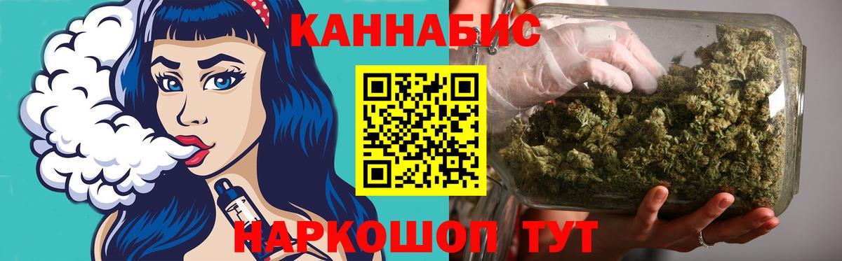 Бошки Шишки план Саров